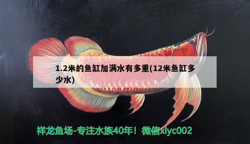 1.2米的魚缸加滿水有多重(12米魚缸多少水) 白子黑帝王魟魚