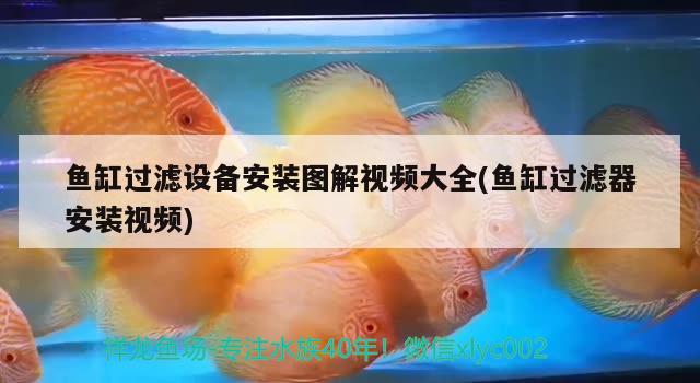 魚缸過濾設(shè)備安裝圖解視頻大全(魚缸過濾器安裝視頻) 過濾設(shè)備