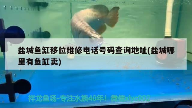 鹽城魚缸移位維修電話號碼查詢地址(鹽城哪里有魚缸賣)