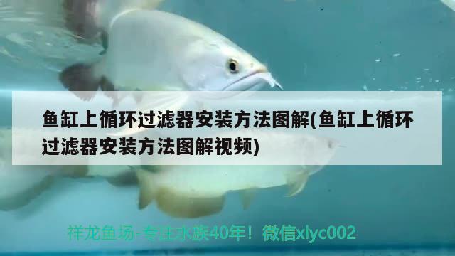 魚缸上循環(huán)過濾器安裝方法圖解(魚缸上循環(huán)過濾器安裝方法圖解視頻)