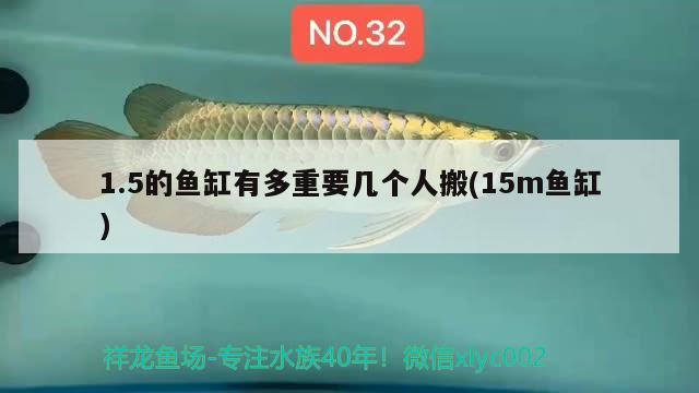 1.5的魚缸有多重要幾個人搬(15m魚缸) 觀賞蝦蟹等飼料