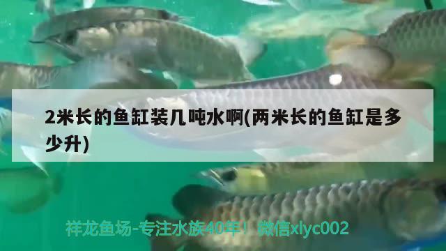 2米長的魚缸裝幾噸水啊(兩米長的魚缸是多少升) 伊巴卡魚