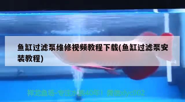 魚缸過濾泵維修視頻教程下載(魚缸過濾泵安裝教程)