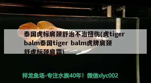 泰國(guó)虎標(biāo)肩頸舒治不治扭傷(虎tigerbalm泰國(guó)tigerbalm虎牌肩頸舒虎標(biāo)頸肩霜)