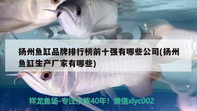 揚(yáng)州魚(yú)缸品牌排行榜前十強(qiáng)有哪些公司(揚(yáng)州魚(yú)缸生產(chǎn)廠家有哪些) 野彩魚(yú)