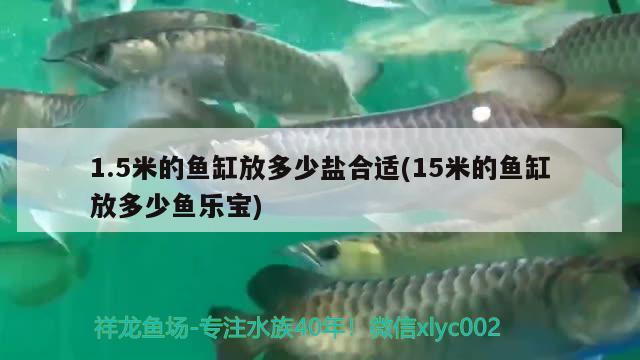 1.5米的魚缸放多少鹽合適(15米的魚缸放多少魚樂寶)