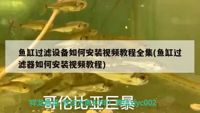 魚(yú)缸過(guò)濾設(shè)備如何安裝視頻教程全集(魚(yú)缸過(guò)濾器如何安裝視頻教程) 過(guò)濾設(shè)備