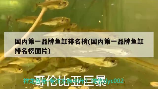 國內(nèi)第一品牌魚缸排名榜(國內(nèi)第一品牌魚缸排名榜圖片)