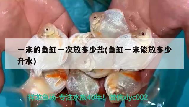 一米的魚缸一次放多少鹽(魚缸一米能放多少升水) PH調(diào)節(jié)劑