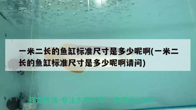 一米二長的魚缸標準尺寸是多少呢啊(一米二長的魚缸標準尺寸是多少呢啊請問) 紅尾平克魚 第2張