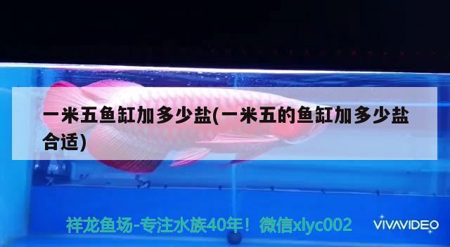 一米五魚缸加多少鹽(一米五的魚缸加多少鹽合適)