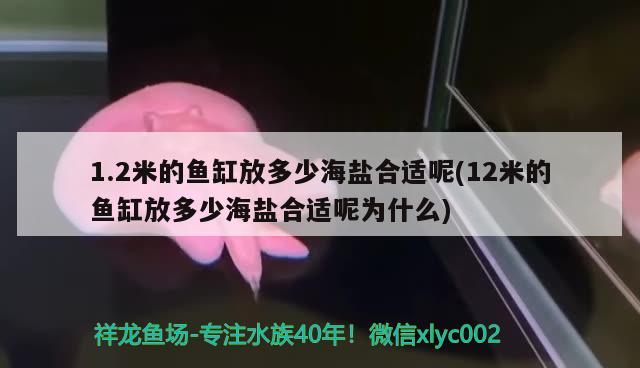 1.2米的魚缸放多少海鹽合適呢(12米的魚缸放多少海鹽合適呢為什么)