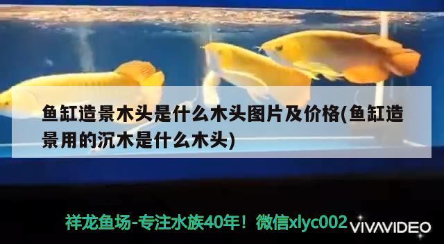 魚缸造景木頭是什么木頭圖片及價格(魚缸造景用的沉木是什么木頭) 豹紋夫魚苗