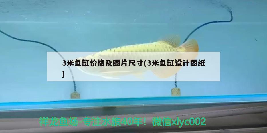 3米魚缸價格及圖片尺寸(3米魚缸設(shè)計圖紙) 雙線側(cè)魚