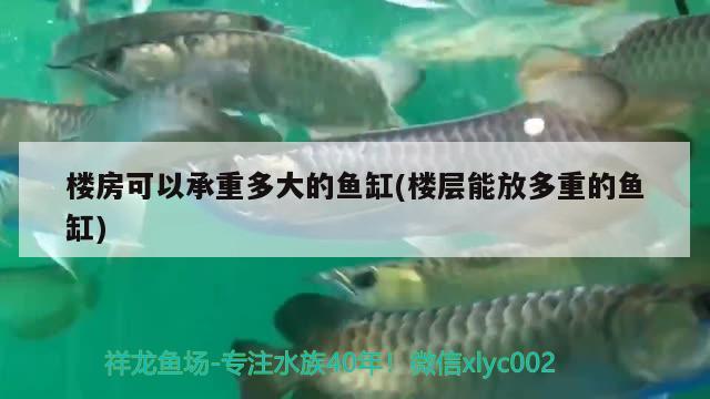 樓房可以承重多大的魚缸(樓層能放多重的魚缸) 高背金龍魚