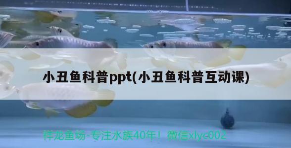 小丑魚科普ppt(小丑魚科普互動課)