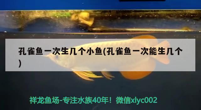 孔雀魚一次生幾個小魚(孔雀魚一次能生幾個) 觀賞魚