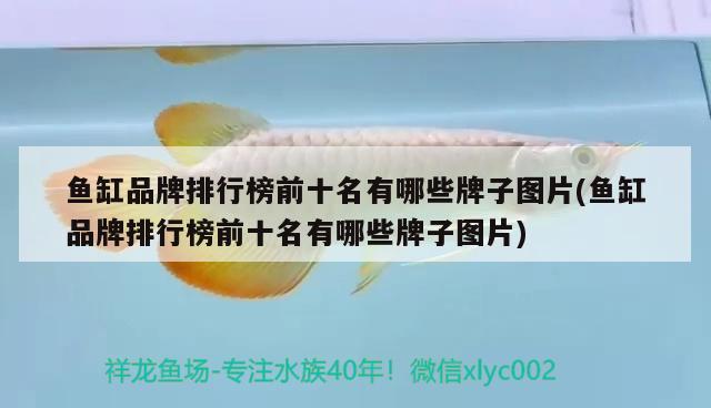 魚缸品牌排行榜前十名有哪些牌子圖片(魚缸品牌排行榜前十名有哪些牌子圖片)