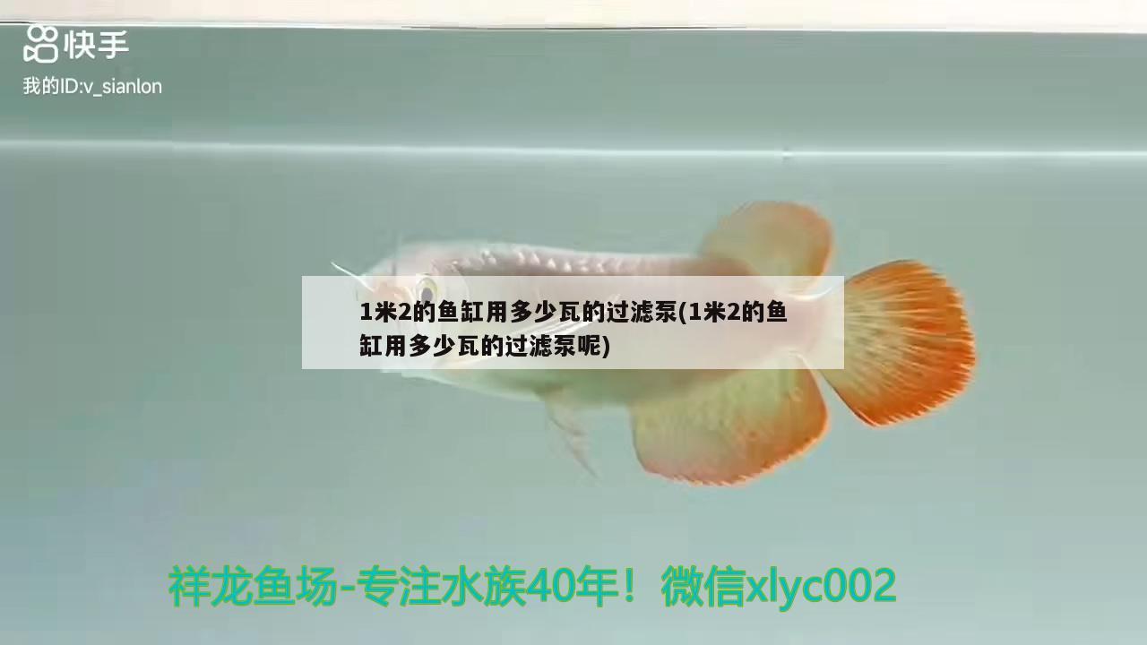 1米2的魚缸用多少瓦的過濾泵(1米2的魚缸用多少瓦的過濾泵呢) 溫控設(shè)備