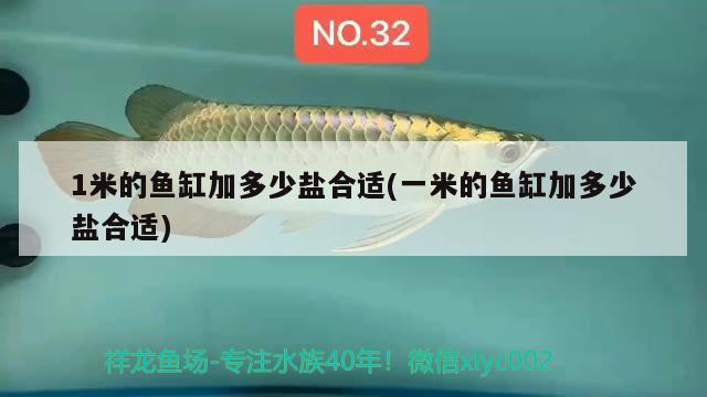 1米的魚(yú)缸加多少鹽合適(一米的魚(yú)缸加多少鹽合適) 鴨嘴鯊魚(yú)