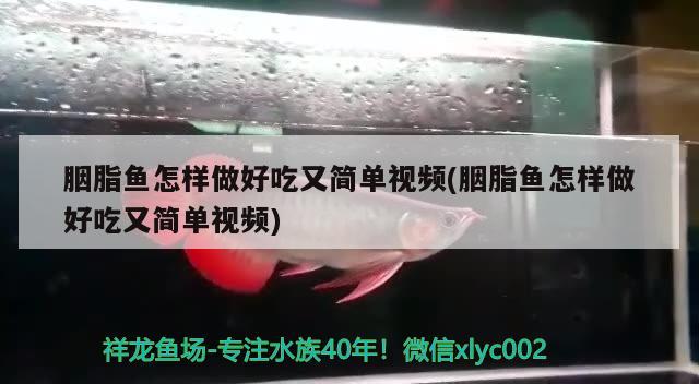 胭脂魚怎樣做好吃又簡單視頻(胭脂魚怎樣做好吃又簡單視頻)