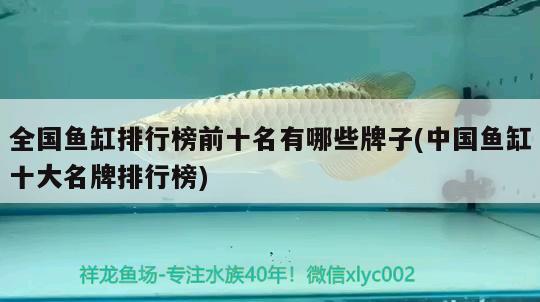 全國魚缸排行榜前十名有哪些牌子(中國魚缸十大名牌排行榜)