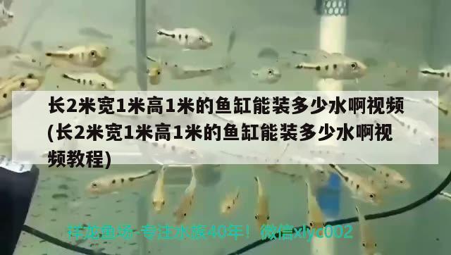 長2米寬1米高1米的魚缸能裝多少水啊視頻(長2米寬1米高1米的魚缸能裝多少水啊視頻教程)