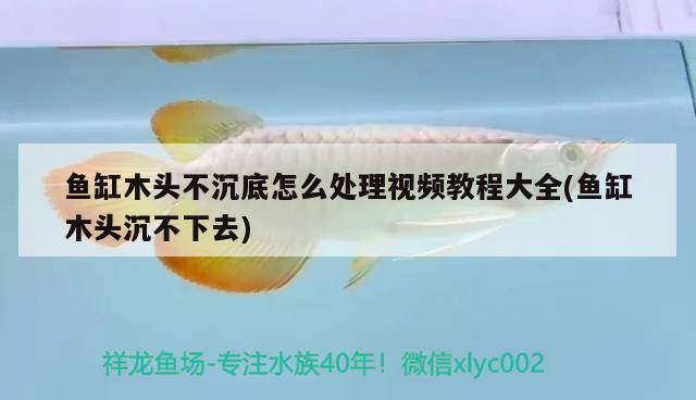 魚缸木頭不沉底怎么處理視頻教程大全(魚缸木頭沉不下去)