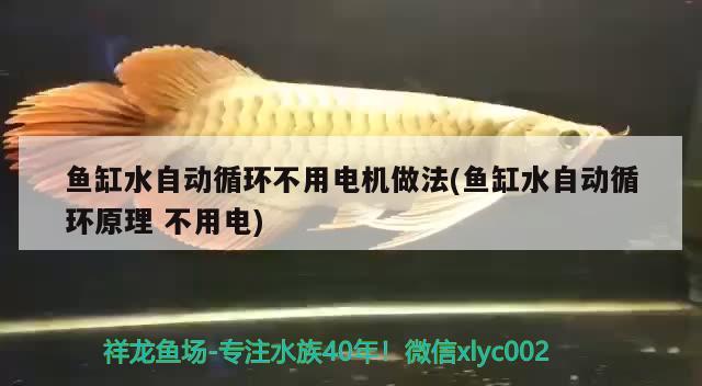 魚缸水自動循環(huán)不用電機做法(魚缸水自動循環(huán)原理不用電)