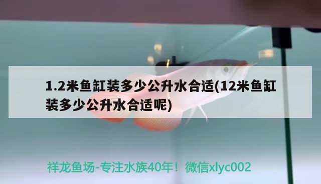 1.2米魚缸裝多少公升水合適(12米魚缸裝多少公升水合適呢)