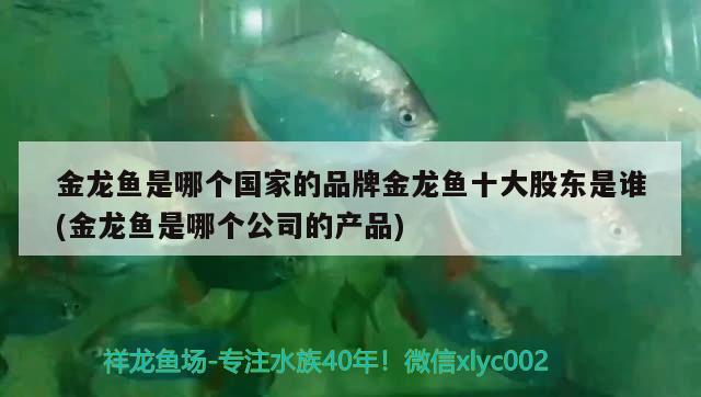 金龍魚是哪個國家的品牌金龍魚十大股東是誰(金龍魚是哪個公司的產(chǎn)品)