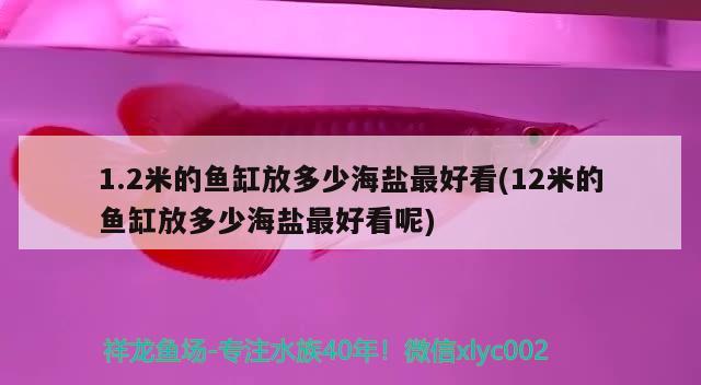 1.2米的魚缸放多少海鹽最好看(12米的魚缸放多少海鹽最好看呢) 馬拉莫寶石魚苗