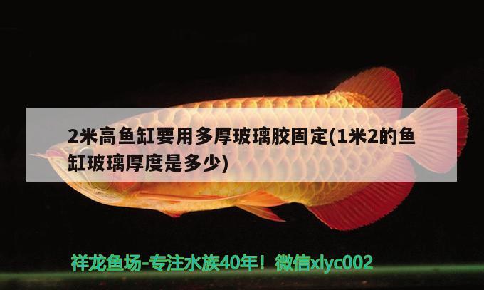 2米高魚缸要用多厚玻璃膠固定(1米2的魚缸玻璃厚度是多少)