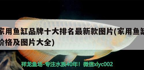 家用魚缸品牌十大排名最新款圖片(家用魚缸價格及圖片大全)