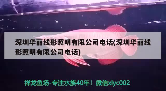 深圳華麗線形照明有限公司電話(深圳華麗線形照明有限公司電話)