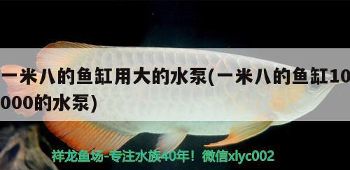 一米八的魚缸用大的水泵(一米八的魚缸10000的水泵) 金頭過背金龍魚