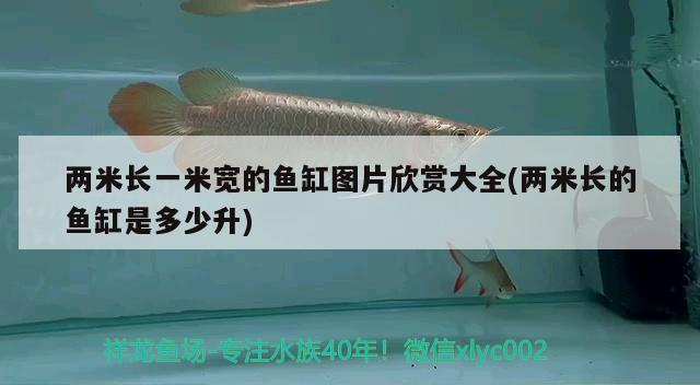 兩米長(zhǎng)一米寬的魚缸圖片欣賞大全(兩米長(zhǎng)的魚缸是多少升)