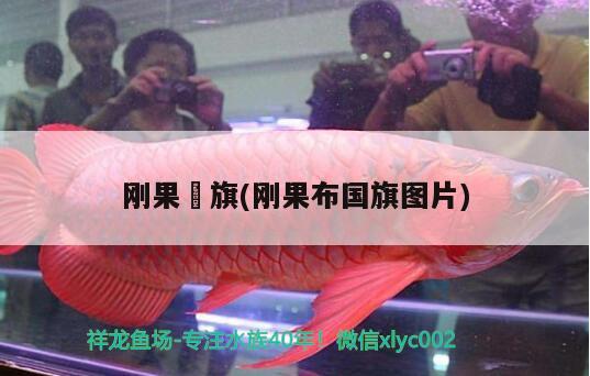 剛果囯旗(剛果布國旗圖片) 觀賞魚