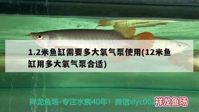 1.2米魚缸需要多大氧氣泵使用(12米魚缸用多大氧氣泵合適)