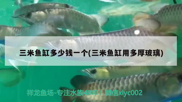 三米魚缸多少錢一個(三米魚缸用多厚玻璃)