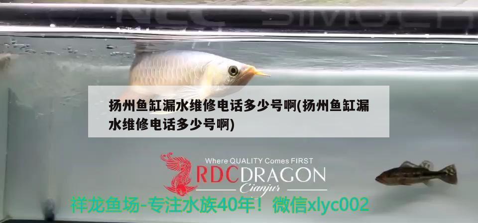 揚(yáng)州魚(yú)缸漏水維修電話多少號(hào)啊(揚(yáng)州魚(yú)缸漏水維修電話多少號(hào)啊)