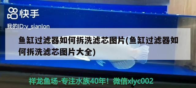 魚缸過濾器如何拆洗濾芯圖片(魚缸過濾器如何拆洗濾芯圖片大全)