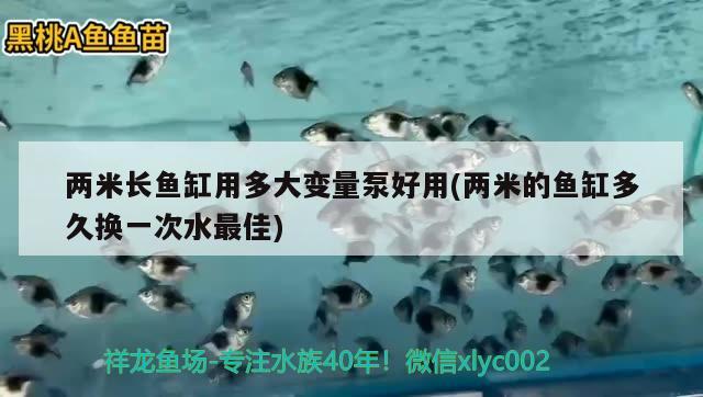 兩米長魚缸用多大變量泵好用(兩米的魚缸多久換一次水最佳)