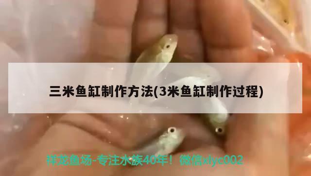 三米魚缸制作方法(3米魚缸制作過(guò)程) 水族燈（魚缸燈）