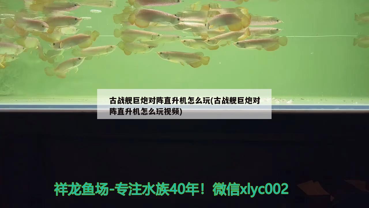 古戰(zhàn)艦巨炮對陣直升機怎么玩(古戰(zhàn)艦巨炮對陣直升機怎么玩視頻)