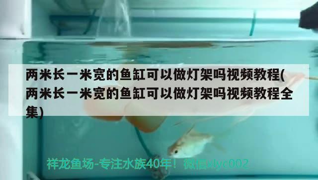 兩米長一米寬的魚缸可以做燈架嗎視頻教程(兩米長一米寬的魚缸可以做燈架嗎視頻教程全集) 黃金鴨嘴魚