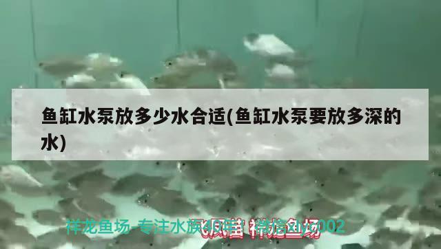 魚缸水泵放多少水合適(魚缸水泵要放多深的水) 魚缸水泵