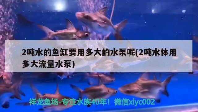 2噸水的魚缸要用多大的水泵呢(2噸水體用多大流量水泵) 觀賞魚飼料