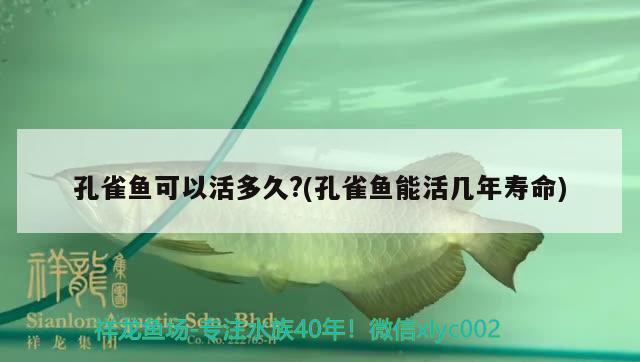 孔雀魚可以活多久?(孔雀魚能活幾年壽命) 觀賞魚