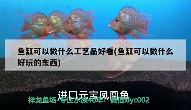 魚缸可以做什么工藝品好看(魚缸可以做什么好玩的東西) 過濾設(shè)備